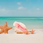 Immobiliare turistico nelle isole: prezzi in calo